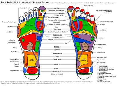 Reflexology Foot Chart, Plantar View in Colour
