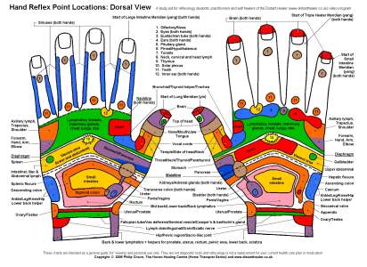 Reflexology Hand Chart, Dorsal View in Colour
