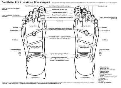 Reflexology Foot Chart, Dorsal View in Black and White