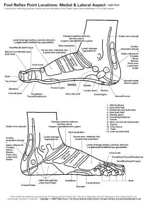 Reflexology Foot Chart, Lateral View in Black and White