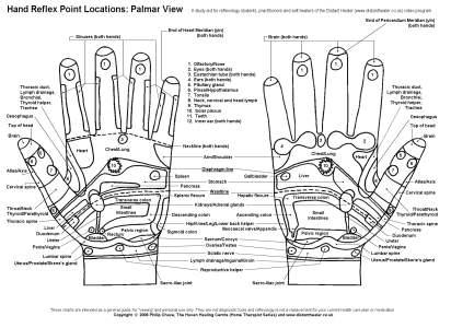 Reflexology Hand Chart, Palmar View in Black and White